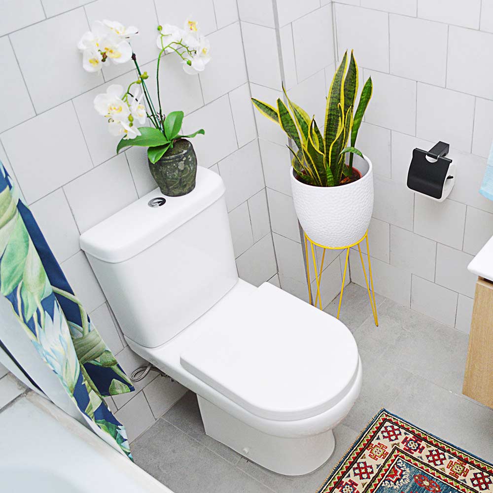 Sanitario Wc Completo Ares - Descarga a Piso (Vertical)