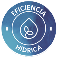 Eficiencia Hídrica